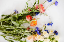 Lade das Bild in den Galerie-Viewer, Blumensamen Gastgeschenke Wildblumen vintage
